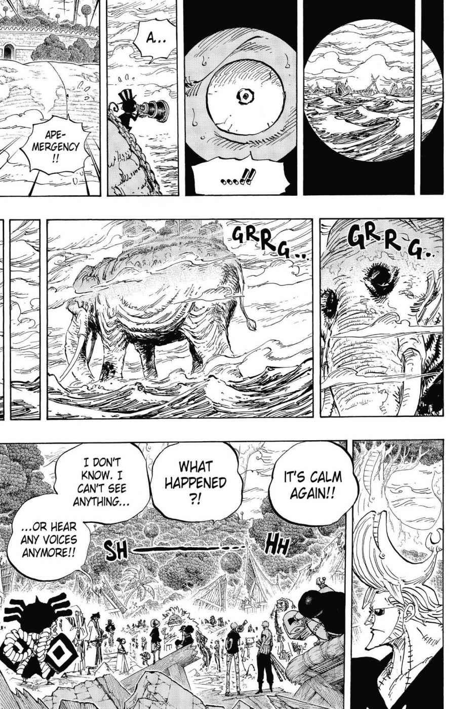 One Piece Chapter 821 - Page 16