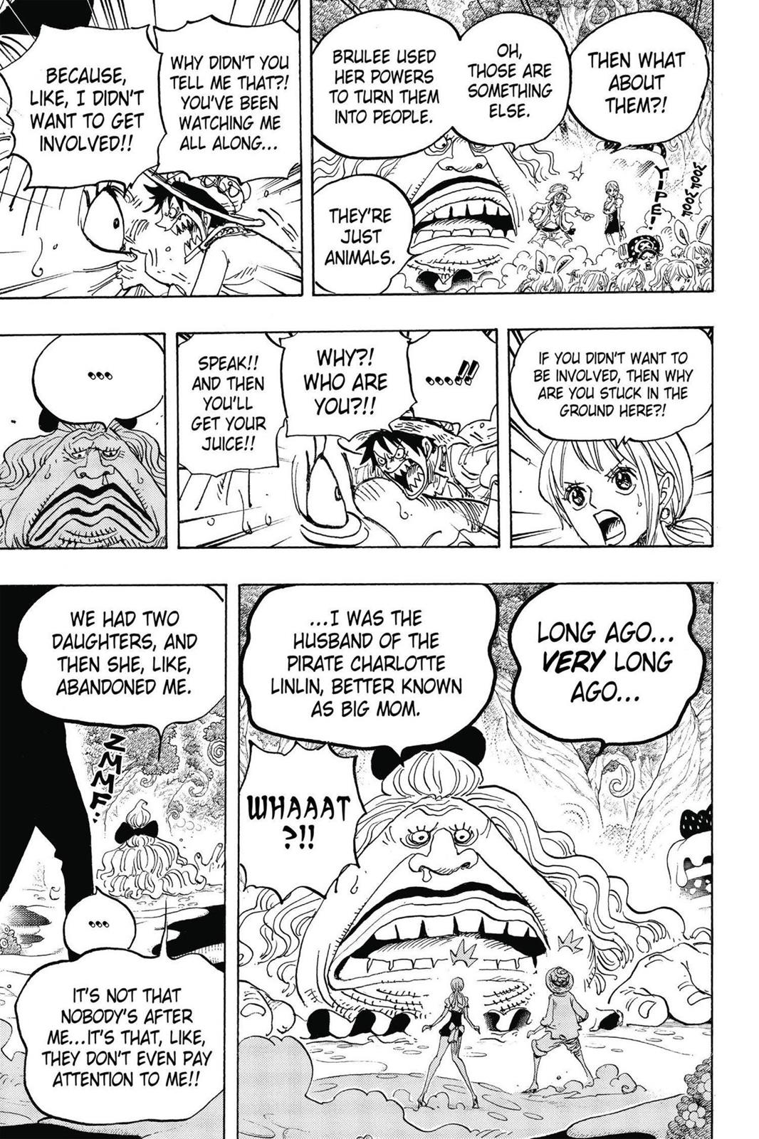 One Piece Chapter 835 - Page 17