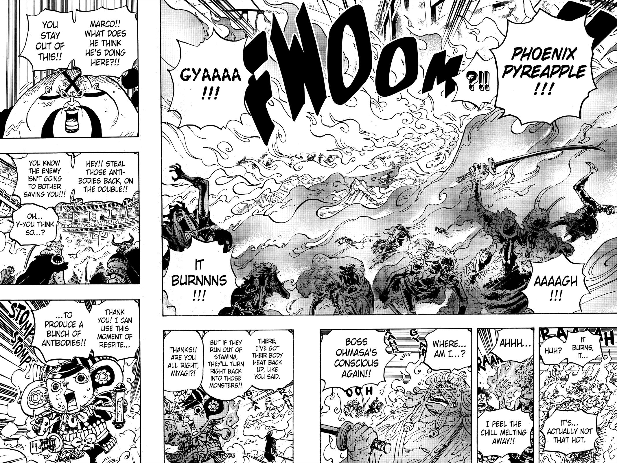 One Piece Chapter 998 - Page 4