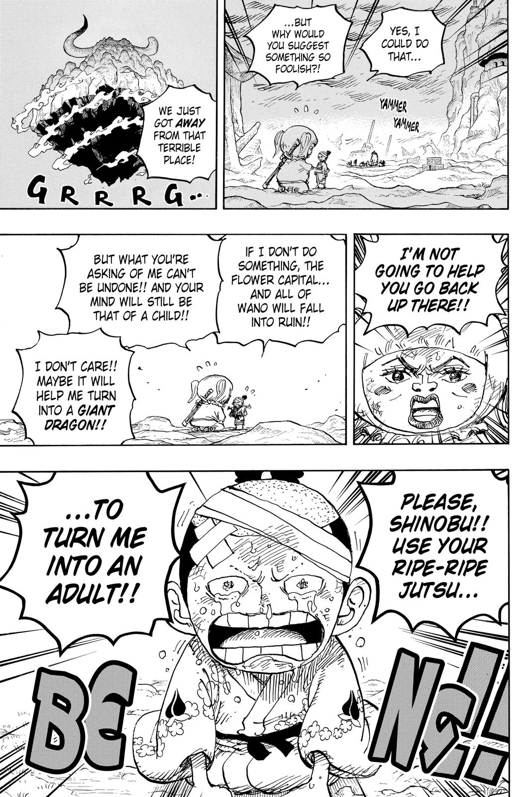 One Piece Chapter 1021 - Page 15