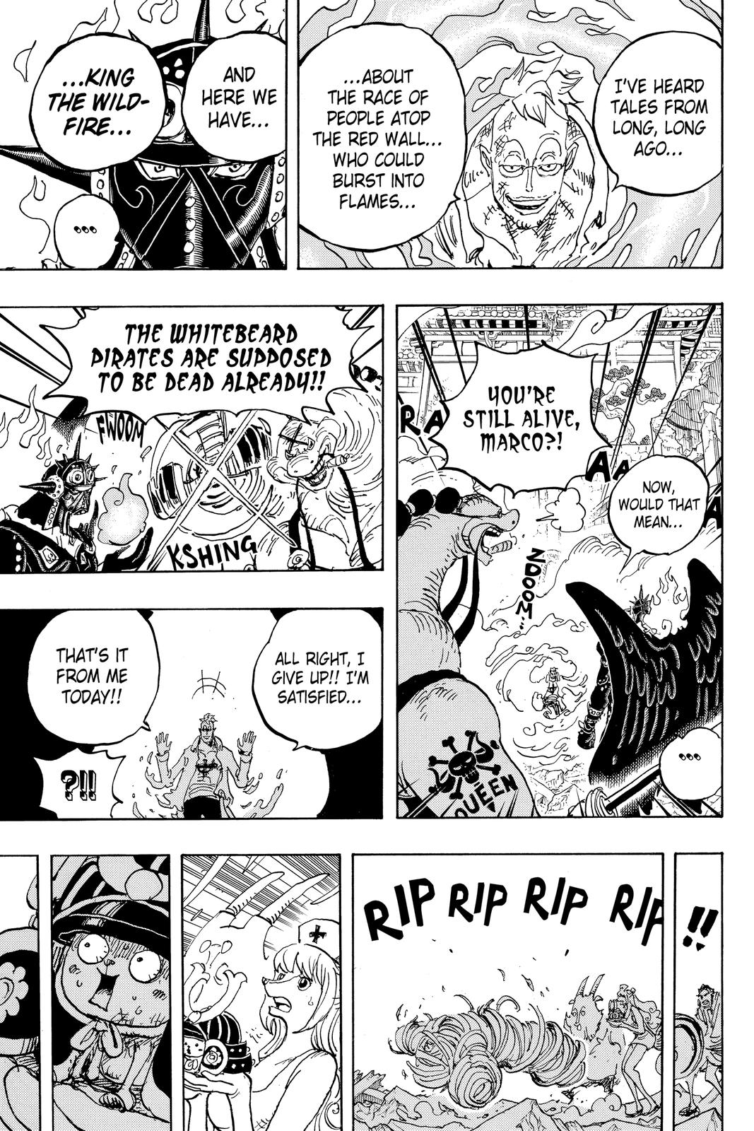 One Piece Chapter 1022 - Page 14