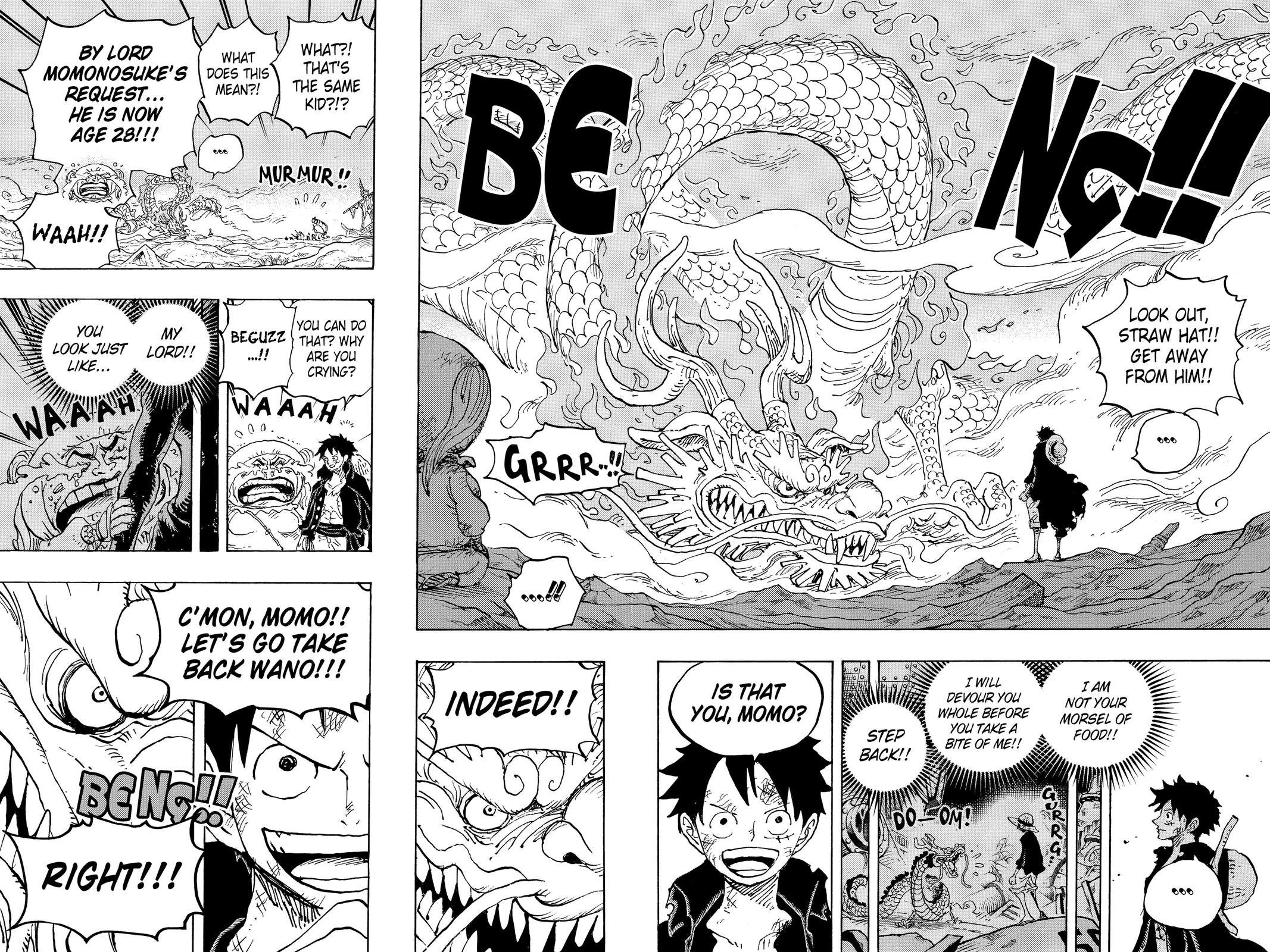 One Piece Chapter 1023 - Page 16