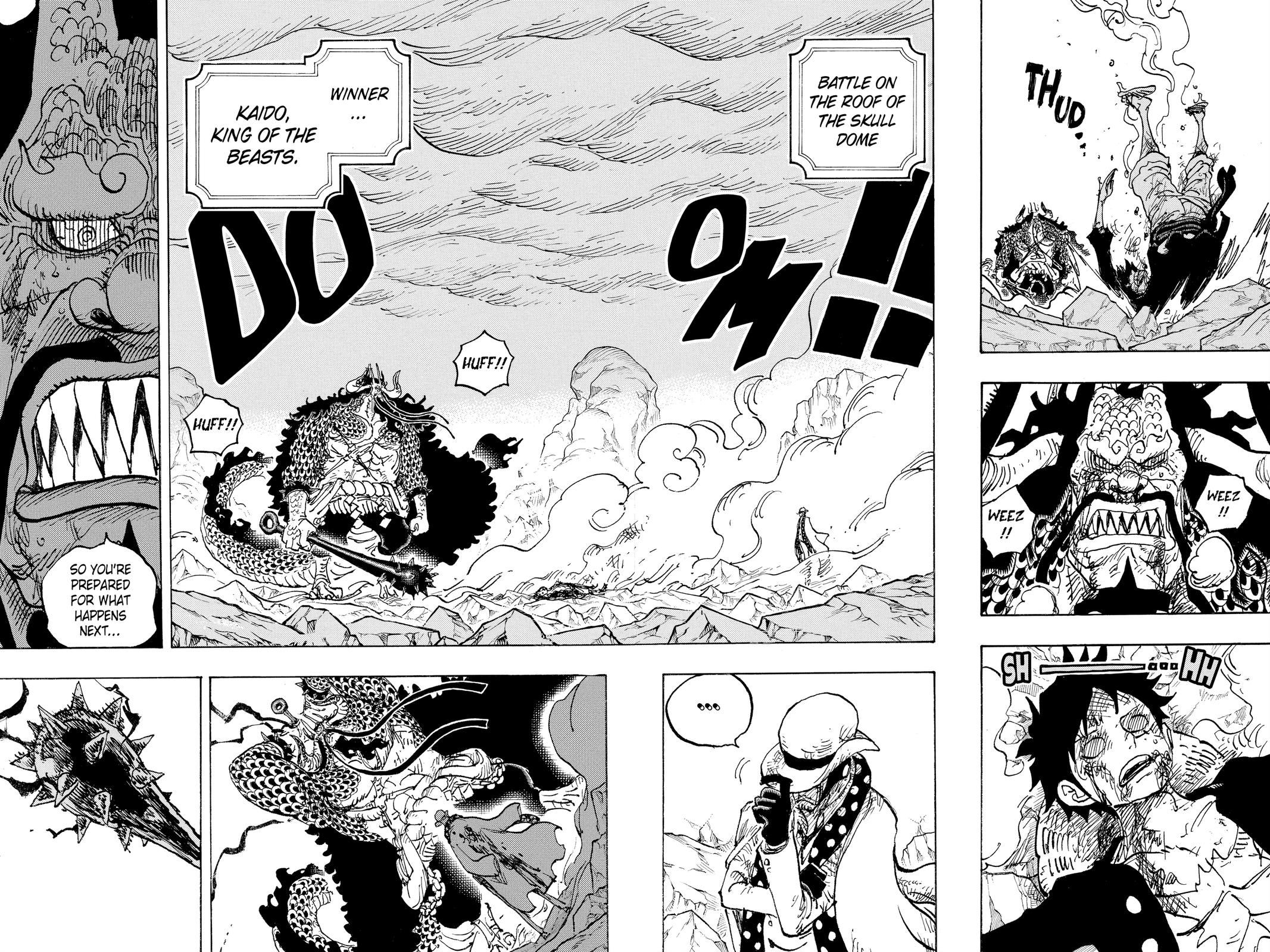 One Piece Chapter 1043 - Page 4
