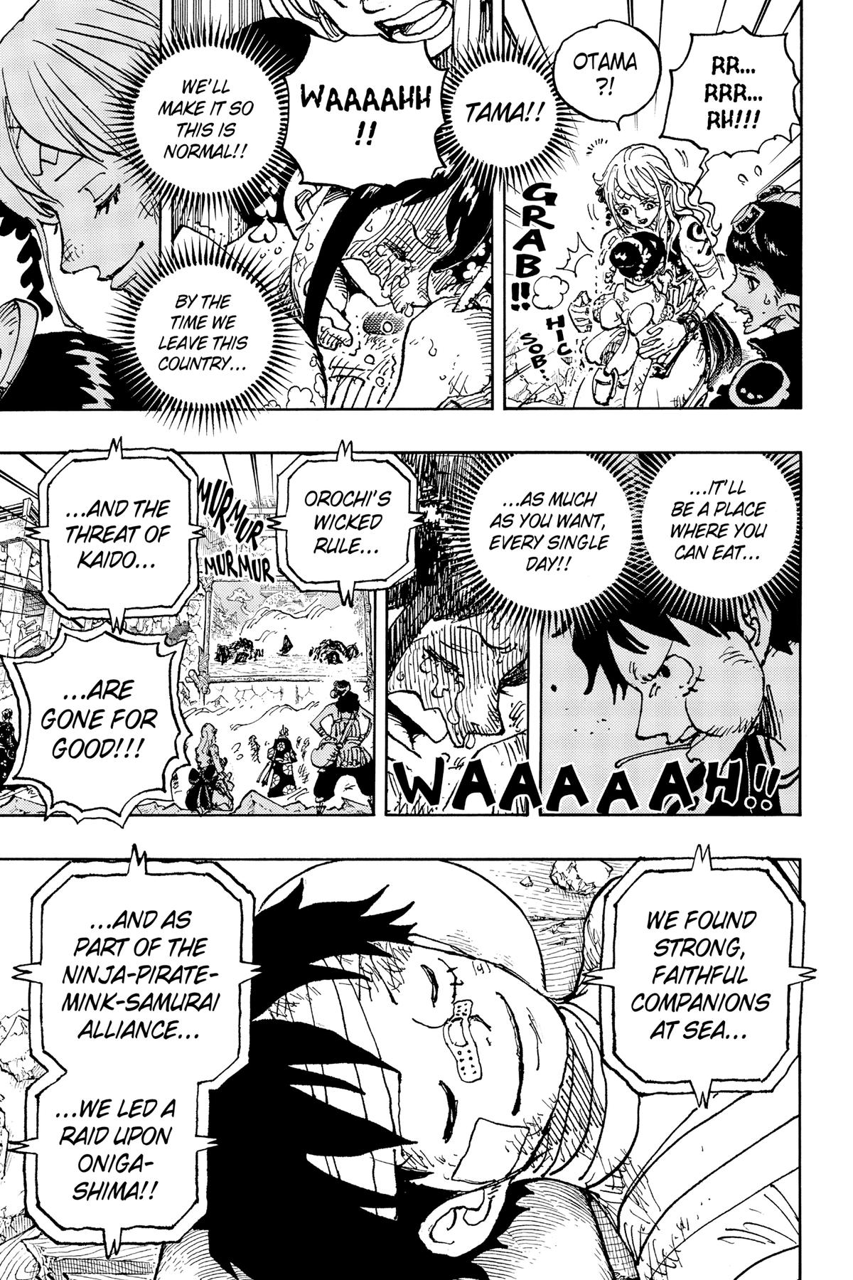 One Piece Chapter 1051 - Page 11