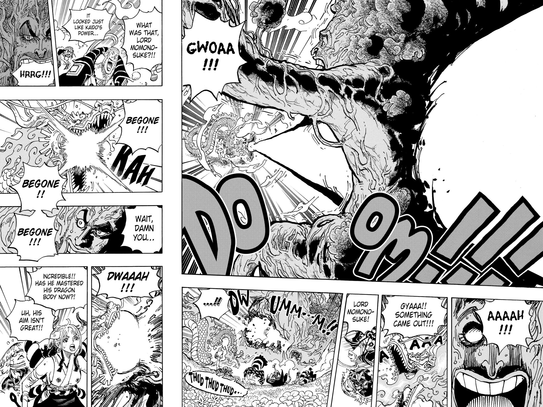 One Piece Chapter 1055 - Page 13