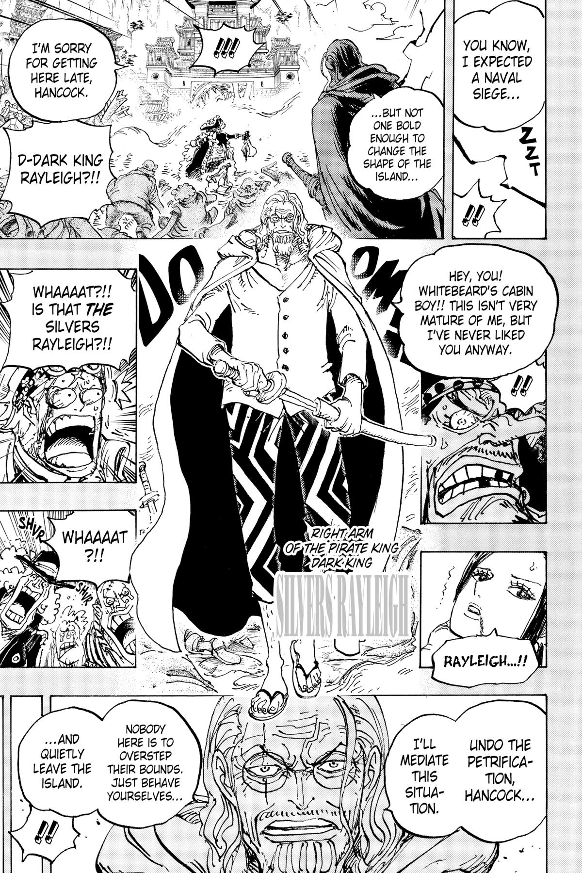 One Piece Chapter 1059 - Page 14
