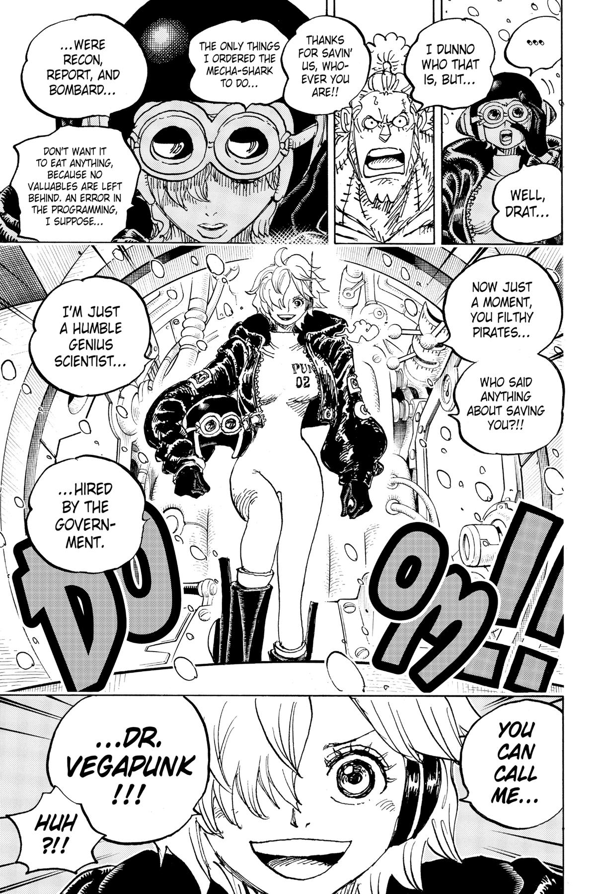 One Piece Chapter 1061 - Page 13