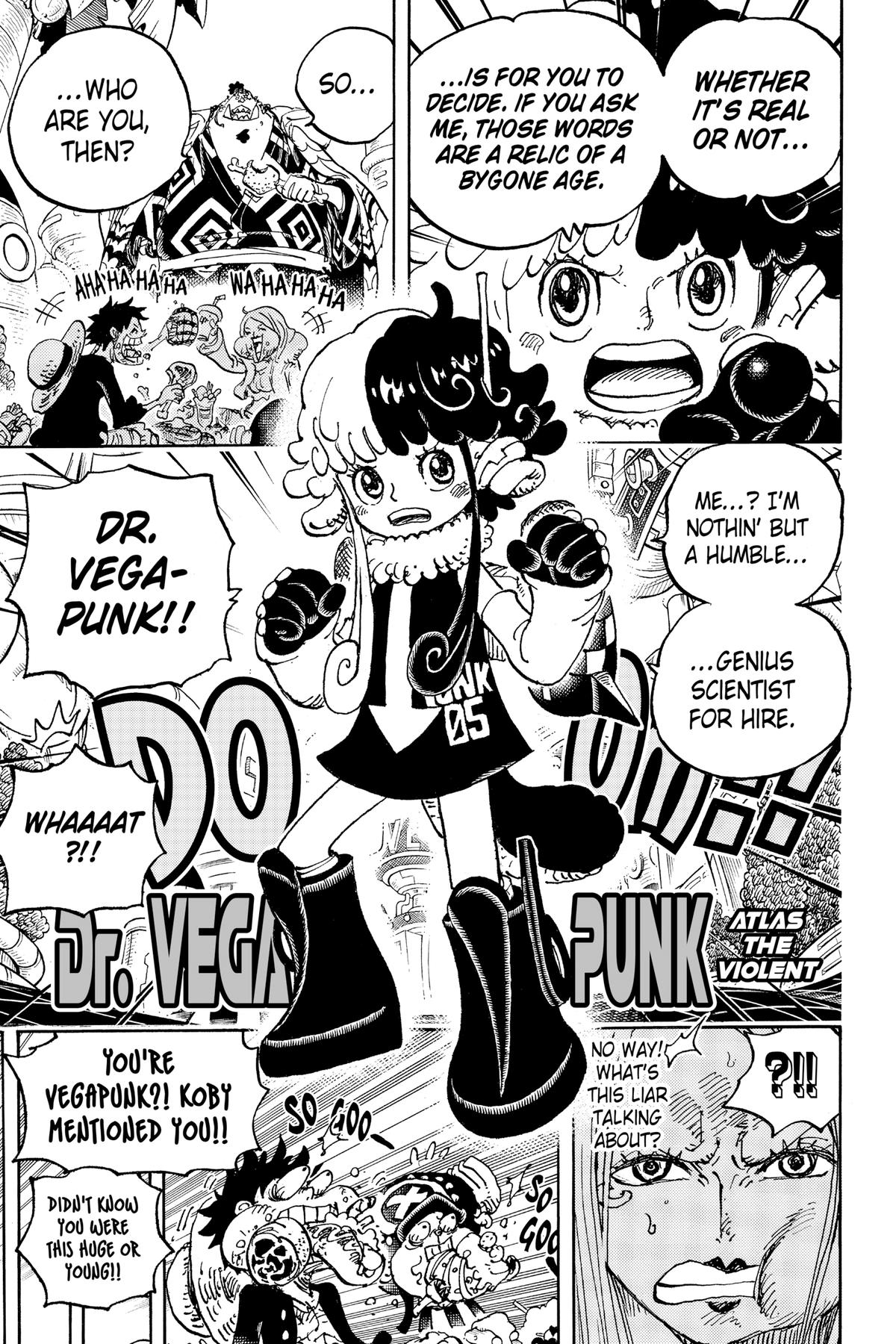 One Piece Chapter 1062 - Page 13