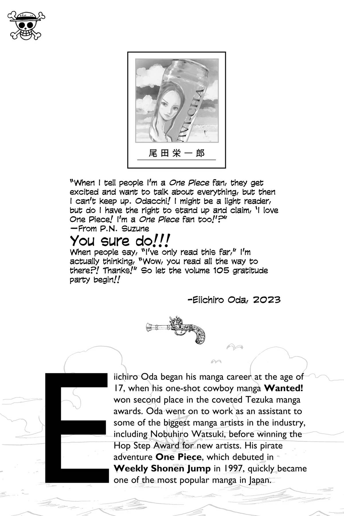 One Piece Chapter 1065 - Page 17