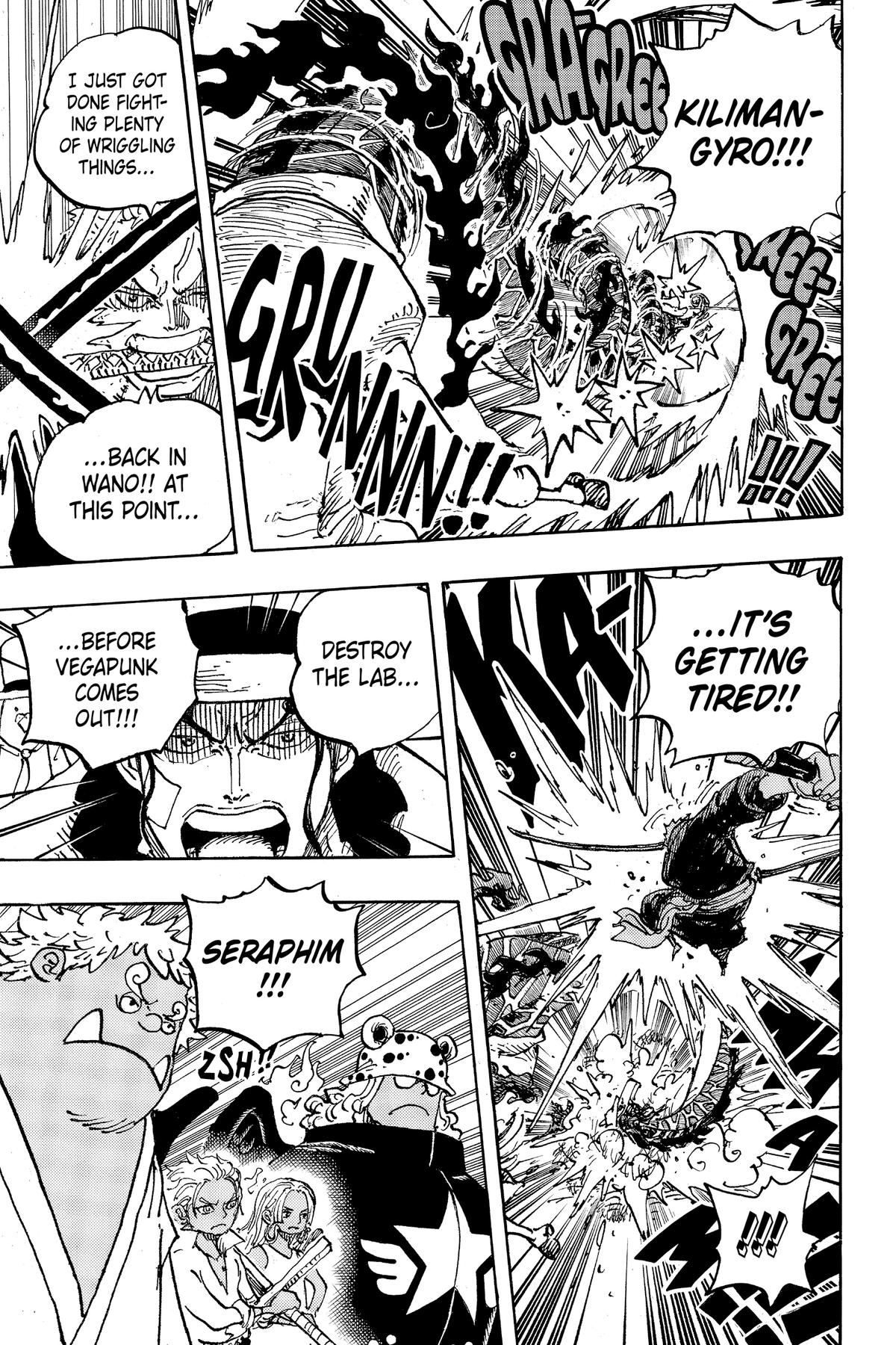 One Piece Chapter 1072 - Page 14