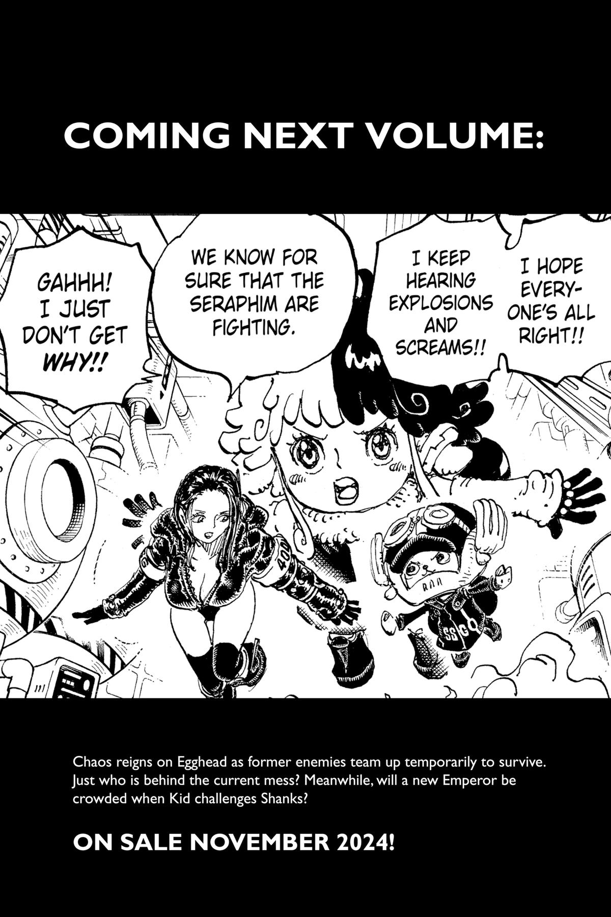 One Piece Chapter 1076 - Page 16