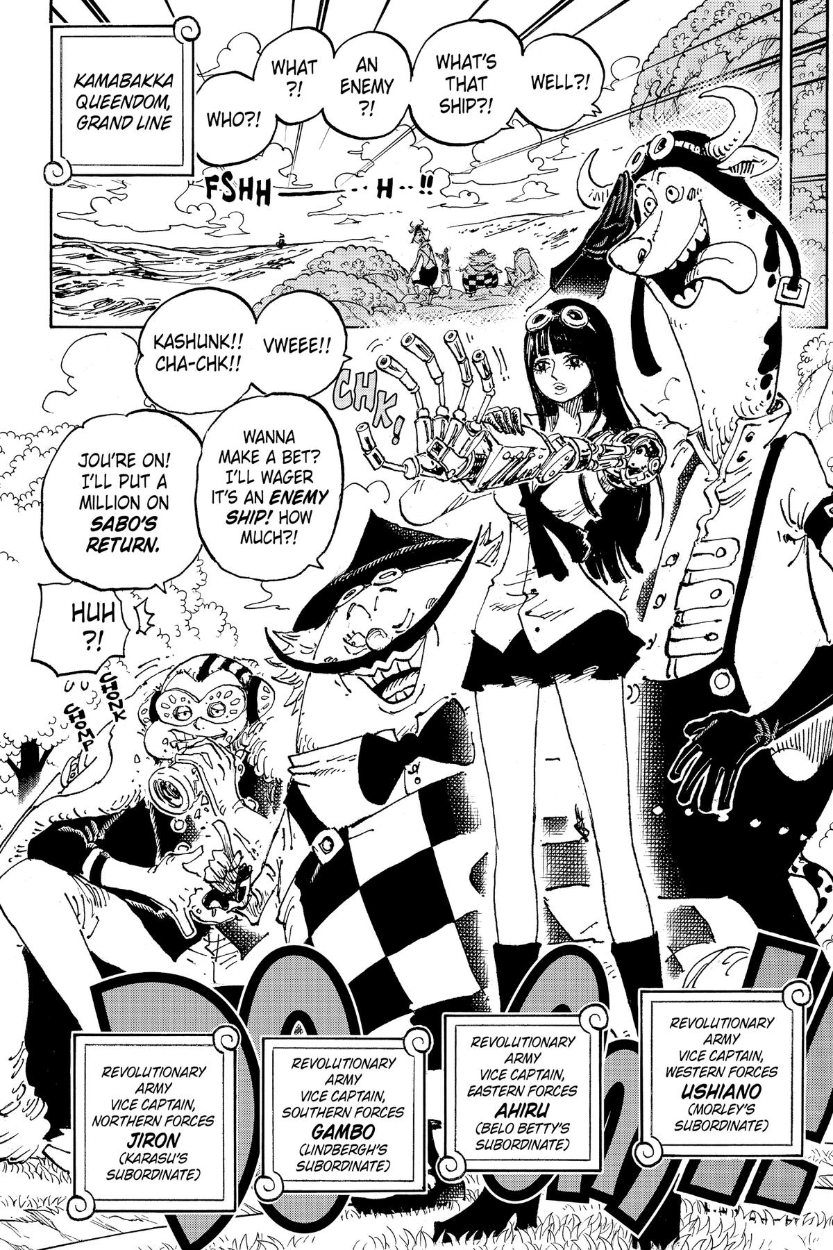 One Piece Chapter 1082 - Page 11