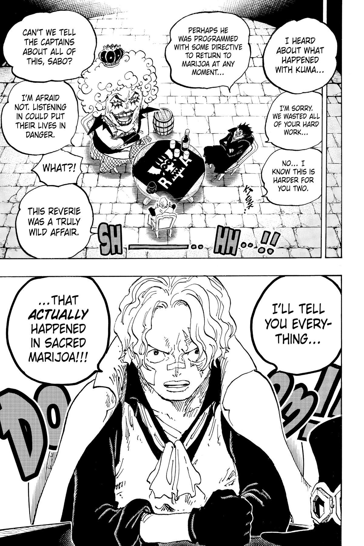 One Piece Chapter 1082 - Page 14