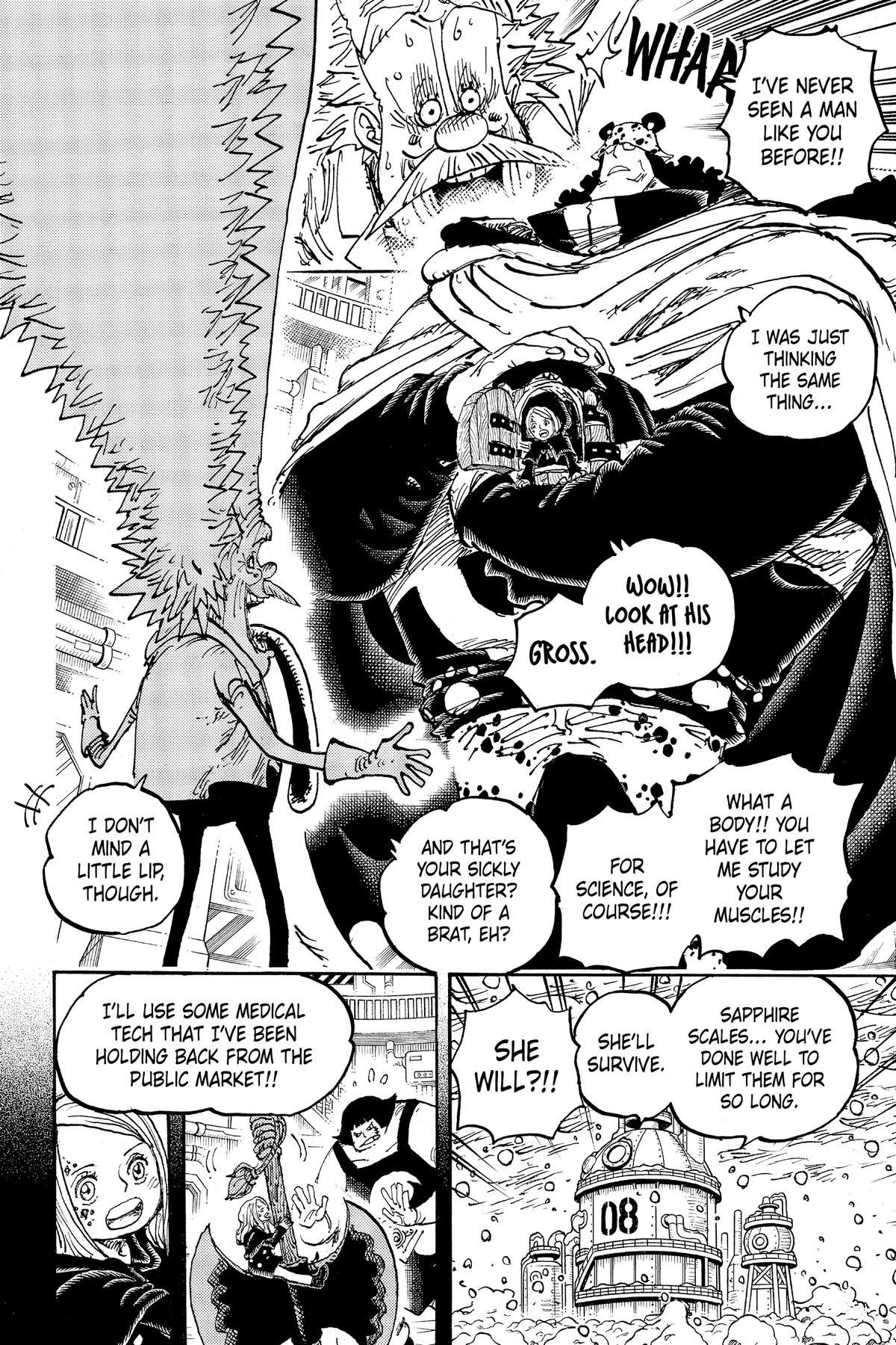 One Piece Chapter 1099 - Page 13