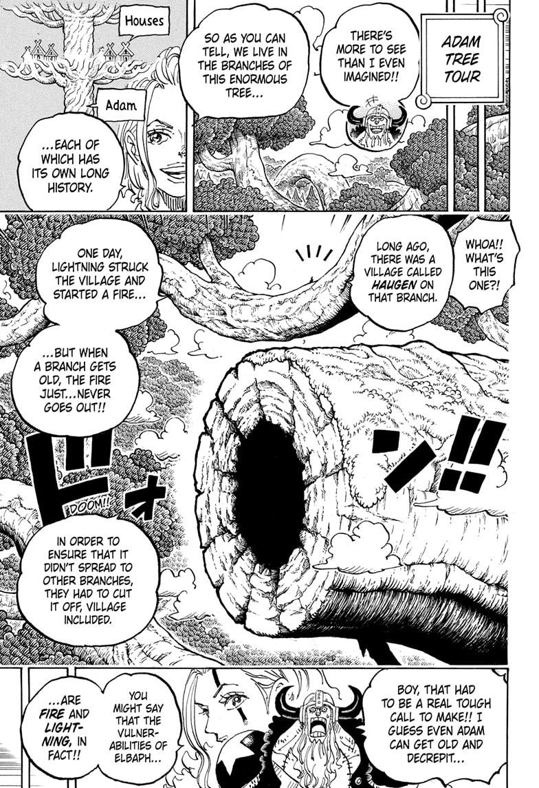 One Piece Chapter 1141 - Page 3