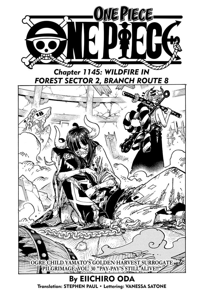 One Piece Chapter 1145 - Page 4