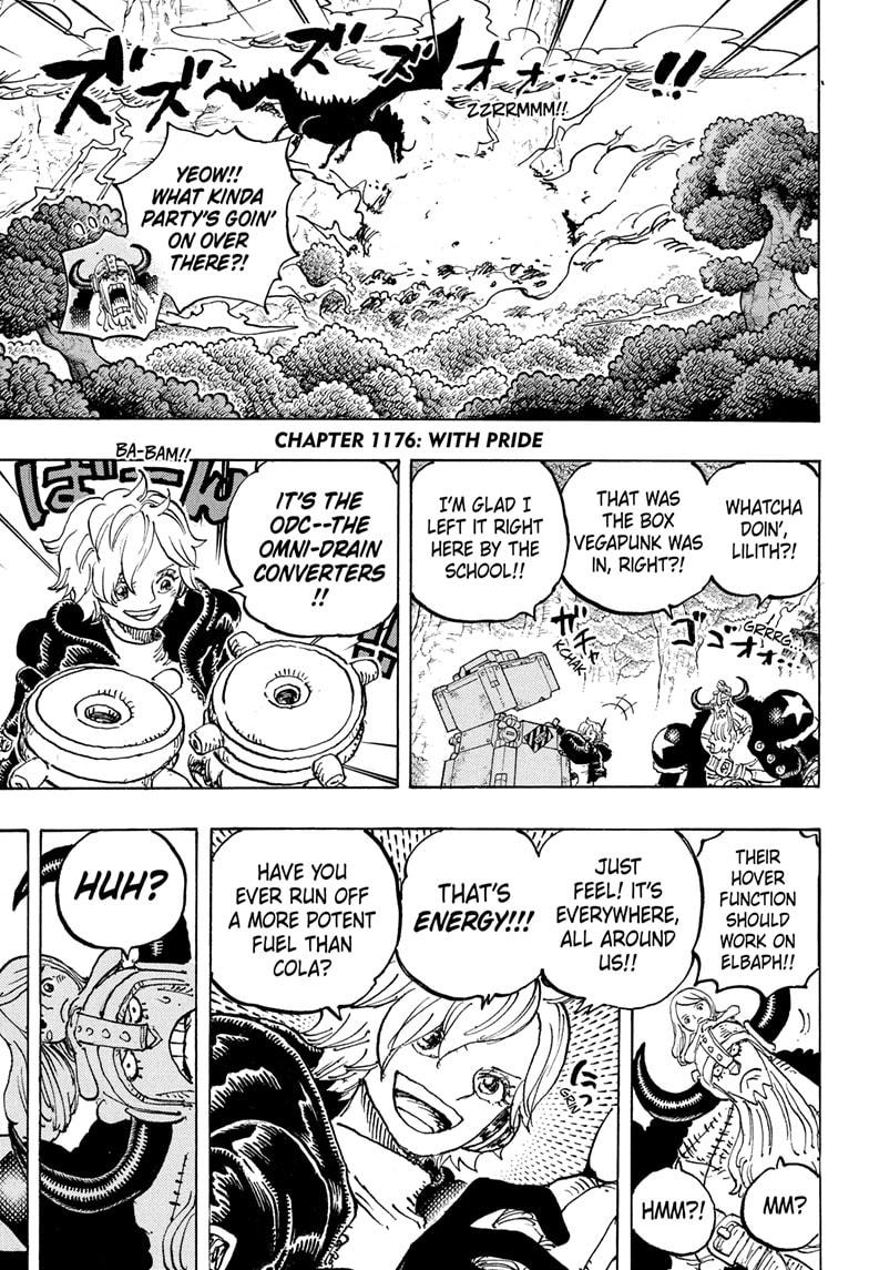 One Piece Chapter 1176 - Page 4