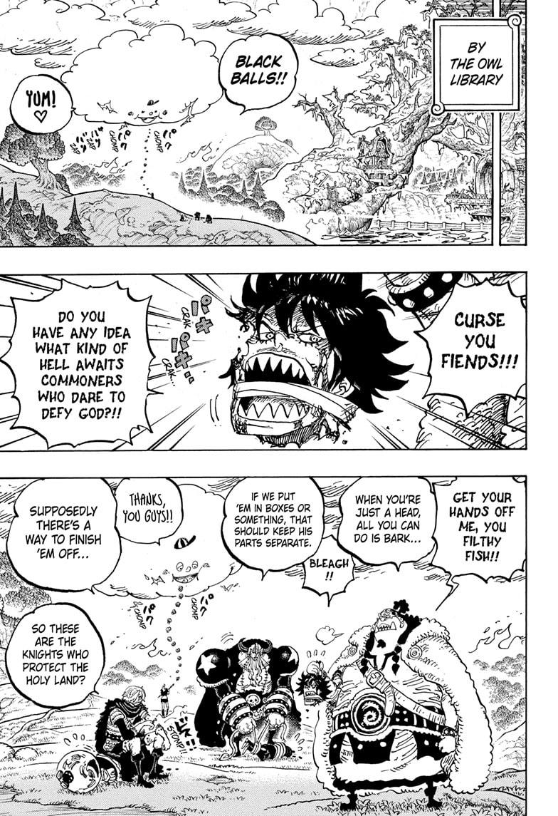 One Piece Chapter 1177 - Page 9
